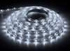 W 60/m LEDх60/м 14.4w/m 12в IP65 White (1429027) W 60/m LEDх60/м 14.4w/m 12в IP65 White (1429027)