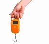 LT-HG2 10кг/10г /весы ручные/ LT-HG2 10кг/10г /весы ручные/