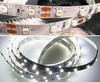 W 60/m LED 3528-60W-8MM-12V-4.8W 280Лм/м IP20 (метражом) W 60/m LED 3528-60W-8MM-12V-4.8W 280Лм/м IP20 (метражом)