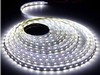 W 60/m 5050SMD SBL-IP65-14 4-CW White (метражом) W 60/m 5050SMD SBL-IP65-14 4-CW White (метражом)