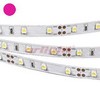 Pink 60/m RT 2-5000 12V Pink (3528, 300 LED, LUX) Pink 60/m RT 2-5000 12V Pink (3528, 300 LED, LUX)