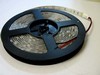 WW 60/m Led flexible strip CTL-3528-60leds/m-IP66-Warm White WW 60/m Led flexible strip CTL-3528-60leds/m-IP66-Warm White