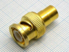 BNCP/RCAJ gold (124786)